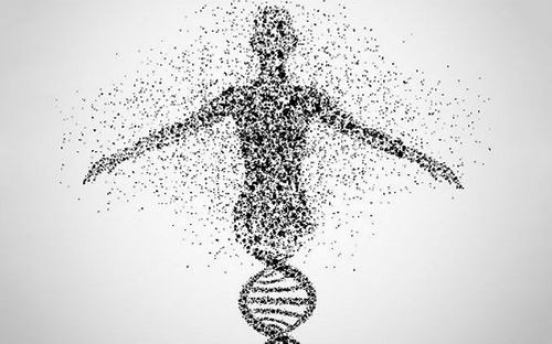 人类基因组研究 我国科学家首次完全自主实施国家级人类全基因组项目。 图片来源:百度图片