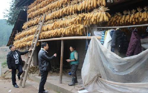 丰都县龙河镇:进村入户开展低保户信息核查工