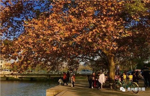 贵阳今冬总体偏暖,专家:不等于不冷|李扬|平均气