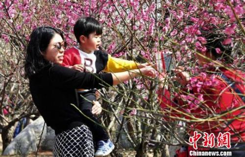 3月12日，徐州民众纷纷相约龟山景区探梅园，前来踏青赏梅，感受春天的气息。 海辉 摄