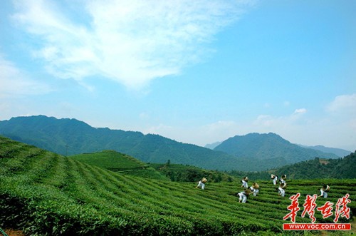 益阳旅游局局长夏太平:全面推进休闲益阳建设