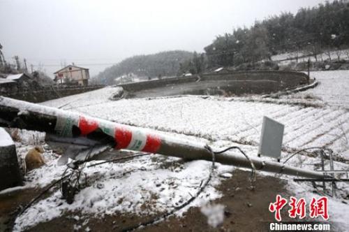 资料图:因降雪天气倒塌的电杆。 王鸿基 摄