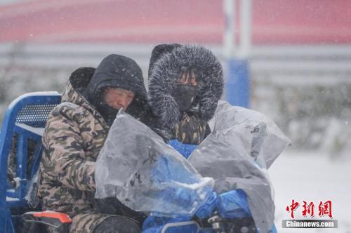 1月25日,安徽合肥降下大雪。 张娅子 摄