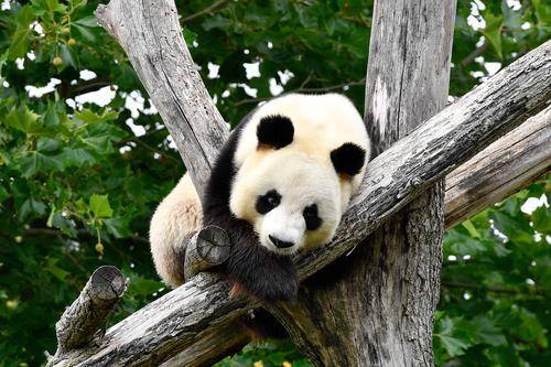 好消息!天津至成都、重庆、广州高铁12月28日