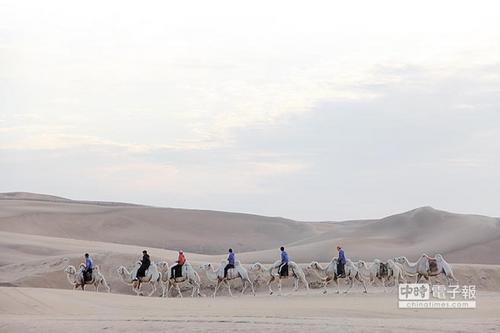 大陆许多沙漠都有骑骆驼行程，是台湾没有的游旅体验。图片来源：台湾中时电子报 记者李锌铜摄