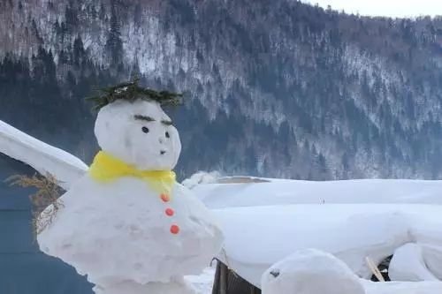 【微辣】顶风作案磨刀宰羊,女导游哪里来的胆