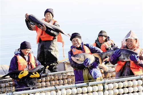 南湖水美鱼肥|南湖|塌陷区|淮北市