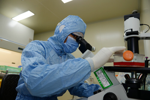 资料图片:2014年11月20日,医疗工作者在陕西生物免疫治疗中心细胞作业室观察细胞形态和细胞计数。新华社记者 李一博 摄