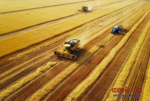 七部委公布首批国家农村产业融合发展示范园 