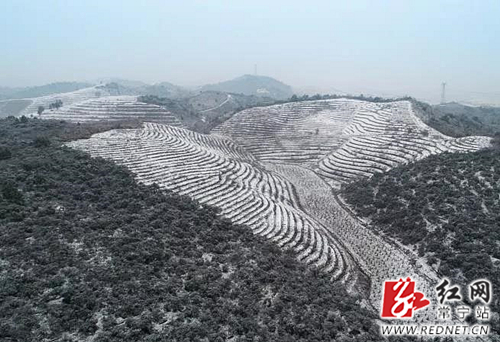 常宁大义山:银装素裹分外妖