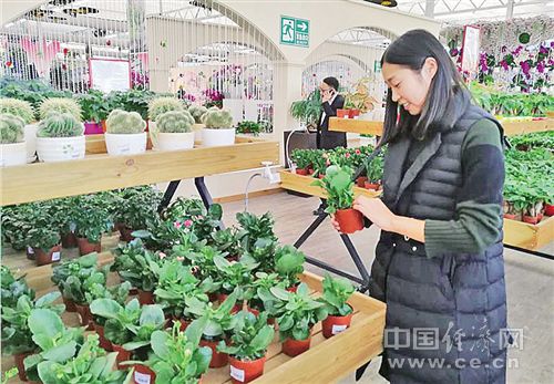 经济日报调研乡村振兴之路:现代农业在各地蓬
