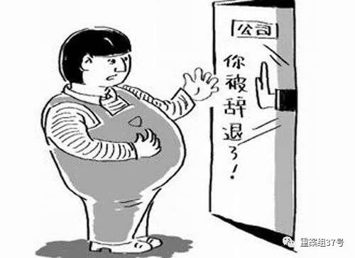 新京报:公司辞退试用期无业绩的怀孕女员工 被判继续聘用