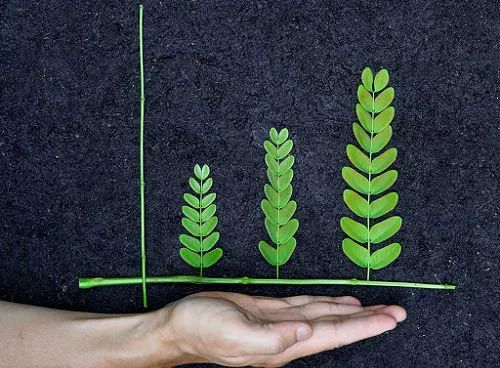 朝阳警方再次通报红黄蓝幼儿园情况丨宁波11