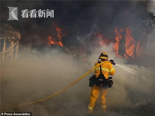 火持续19万人撤离 明日火情更不乐观|洛杉矶|山