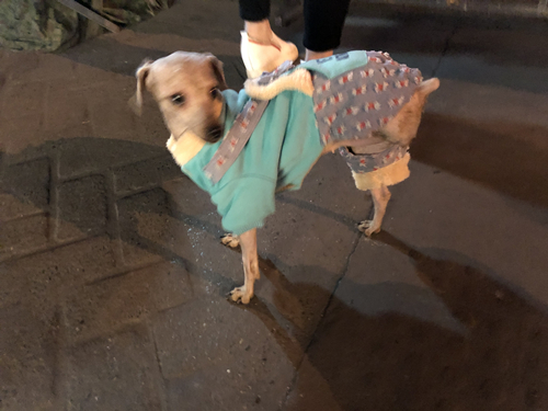 Ůչ3ȵĹҵļˣ