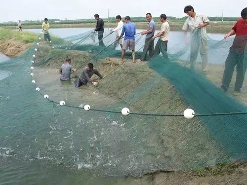 重磅!江西村干部可转编公务员!2018年将发展9