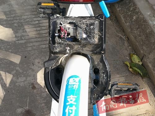 入驻儋州十多天,300多哈罗单车接连失踪,更懵