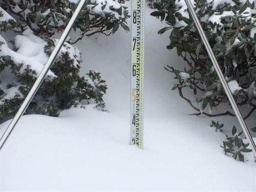 苗栗县雪霸公园管理处指出,雪山主峰沿线海拔高于369山庄的山区,普遍已积雪超过30厘米。图片来源:“中时电子报”