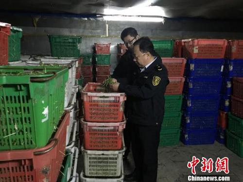 清远开展节前专项检查,保障供港食品农产品安全。金宏磊 摄