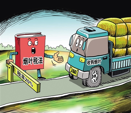 烟叶税立法|立法|卷烟|烟叶税