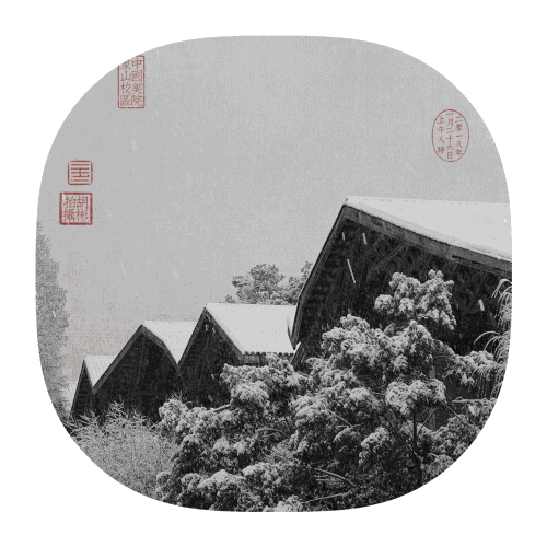 山南耍学生便宜快餐