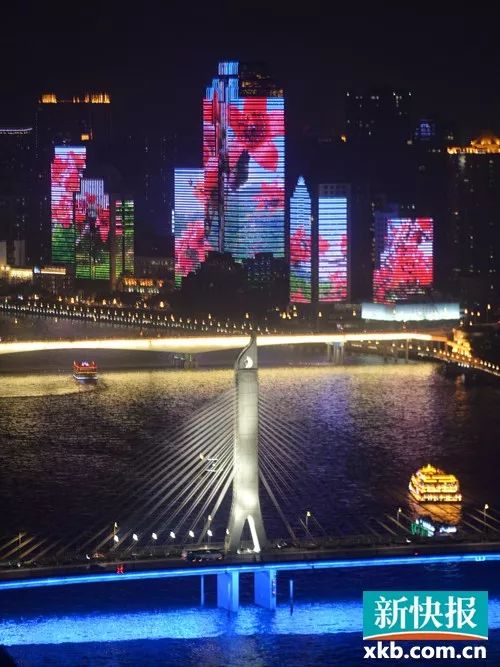 冬日暖阳,繁花似锦。遇见最美的广州|广州|李小