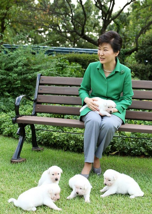 1520389006133167.jpg 朴槿惠和她的爱犬
