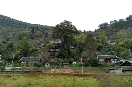 国家发展改革委农经司开展乡村振兴战略西南片