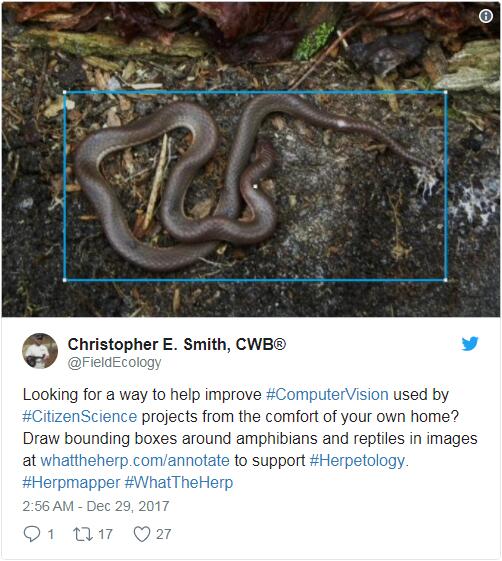 What The Herp?研究团队推出爬虫识别AI工具