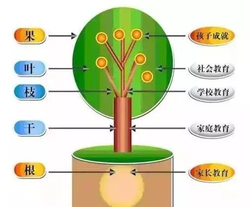 人民日报：教育改革要从家长教育开始！强烈推荐！