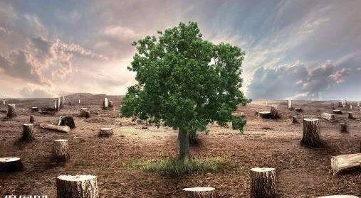 《一个小村庄的故事》丨那些年,我们一起读过