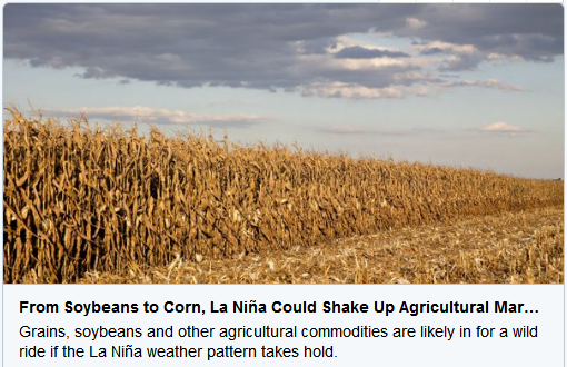 澳洲四大行冻结比特币关联账户,沙特阿联酋首