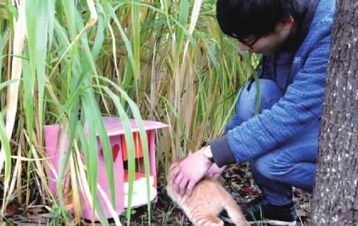 用快递盒造别墅 给小动物一个家|小动物|快递