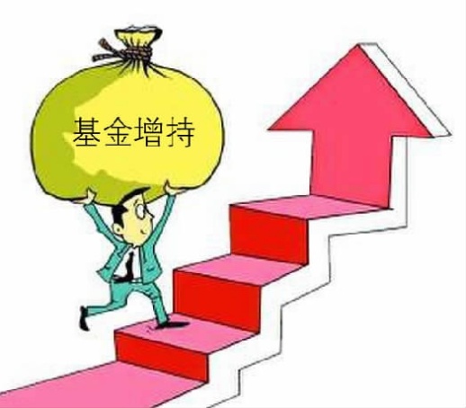 成交放大,基金增持,创业板走红?