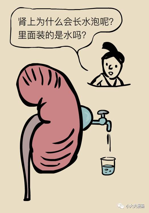 肾囊肿是个什么情况？北大教授来科普