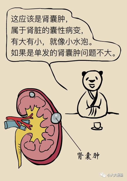 肾囊肿是个什么情况？北大教授来科普