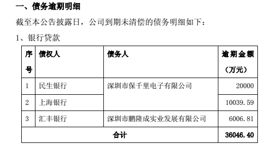 ▲ 图片来源：保千里关于债务逾期的公告