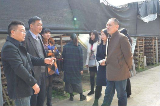 china说丨乡村振兴聚焦人才,丽水庆元全球招募"荣誉村长"