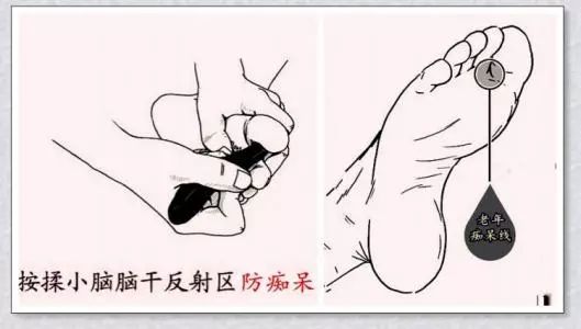 脚底这条线,一定要揉开,否则后果很严重|老年痴呆|脚趾|脑血管_新浪