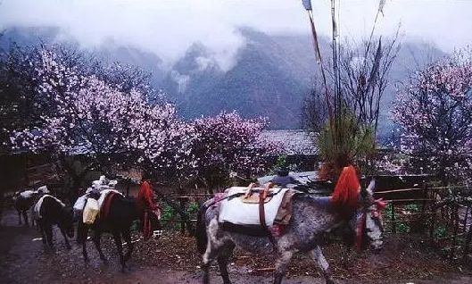 https://image.ipaiban.com/upload-ueditor-image-20180116-1516070216502001699.png