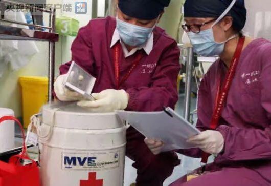 西安5岁宝宝脐带血援救上海33岁白血病患者|白