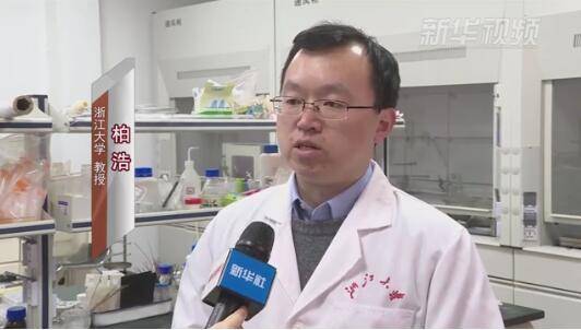 浙大教授柏浩 新华视频截图