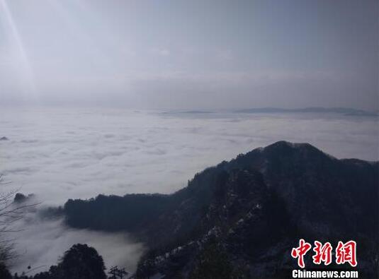  历史回顾：那些年我们一起电视看球 入门的经典瞬间