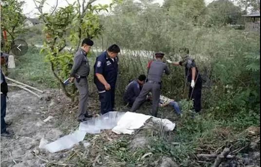 中国导游在泰国被大象踩踏致死 到底发生了什