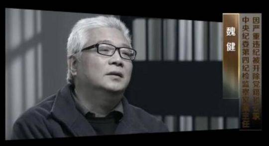 中央纪委第四纪检监察室原主任魏健(视频截图)