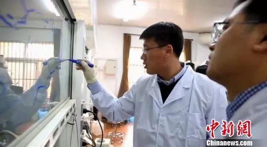 资料图:中科院合肥物质研究院的科学家正在潜心工作。孙策 摄