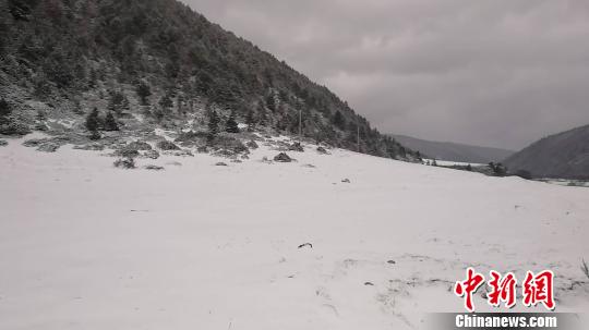图为迪庆香格里拉雪景。 和俊 摄