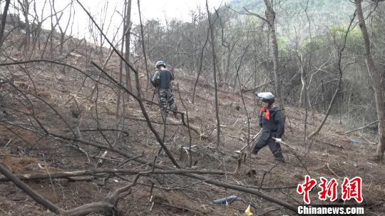图为扫雷战士利用探雷器搜排地雷。 张广权 摄