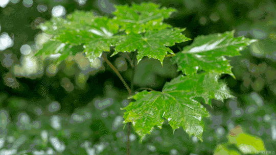 2018,你好!|工作|小太阳|三毛_新浪网