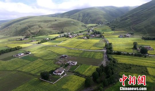道孚八美镇村寨一角。(资料图) 刘忠俊 摄